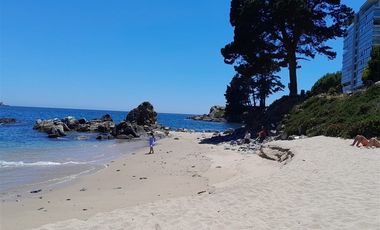 Sitio en Venta en Pingueral