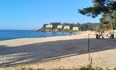 Sitio en Venta en Pingueral