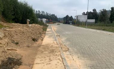 Sitio en Venta en Pingueral
