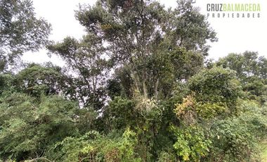 Parcela en Venta en Condominio El Pangue, km 6 camino a Ensenada, lindo bosque nativo y pradera