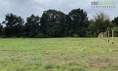 Parcela en Venta en Condominio El Pangue, km 6 camino a Ensenada, lindo bosque nativo y pradera