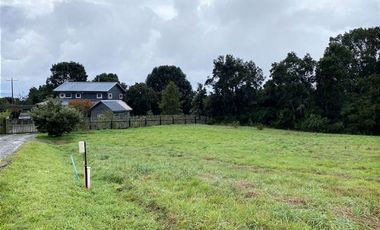 Parcela en Venta en Condominio El Pangue, km 6 camino a Ensenada, lindo bosque nativo y pradera