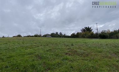 Parcela en Venta en Condominio El Pangue, km 6 camino a Ensenada, lindo bosque nativo y pradera