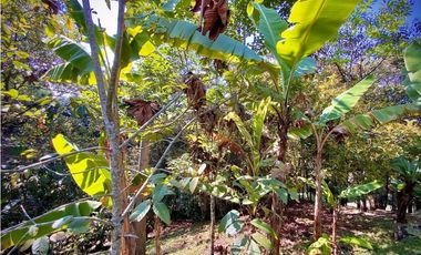 Venta Finca Parcelacion La Ceja Espectacular Vista