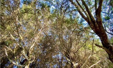 Venta Finca Parcelacion La Ceja Espectacular Vista