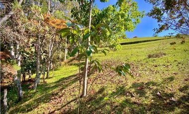 Venta Finca Parcelacion La Ceja Espectacular Vista