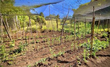 Venta Finca Parcelacion La Ceja Espectacular Vista