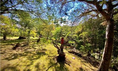 Venta Finca Parcelacion La Ceja Espectacular Vista