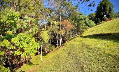 Venta Finca Parcelacion La Ceja Espectacular Vista