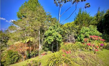 Venta Finca Parcelacion La Ceja Espectacular Vista