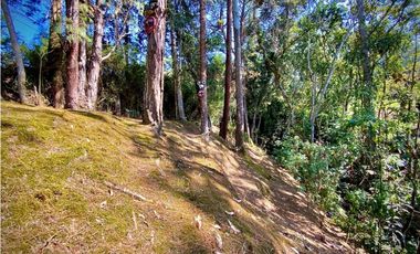 Venta Finca Parcelacion La Ceja Espectacular Vista