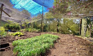 Venta Finca Parcelacion La Ceja Espectacular Vista