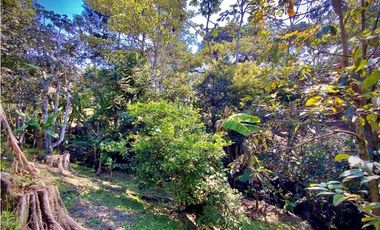 Venta Finca Parcelacion La Ceja Espectacular Vista