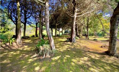 Venta Finca Parcelacion La Ceja Espectacular Vista