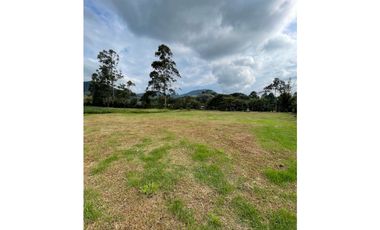 SE VENDE LOTE EN LA CEJA sector el yarumo vía la ceja rionegro