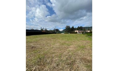 SE VENDE LOTE EN LA CEJA sector el yarumo vía la ceja rionegro