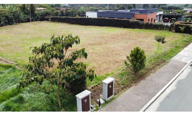 SE VENDE LOTE EN LA CEJA sector el yarumo vía la ceja rionegro