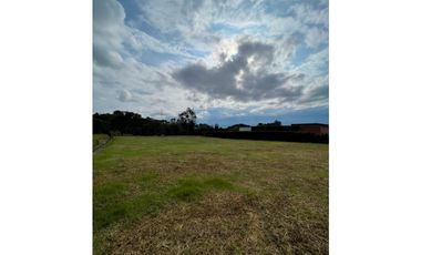 SE VENDE LOTE EN LA CEJA sector el yarumo vía la ceja rionegro