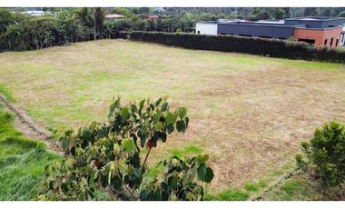SE VENDE LOTE EN LA CEJA sector el yarumo vía la ceja rionegro