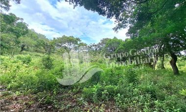 VENDO FINCA DE 2HECTAREAS + 2040M2 ALTO JARAMILLO