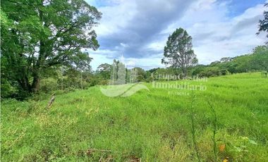 VENDO FINCA DE 2HECTAREAS + 2040M2 ALTO JARAMILLO