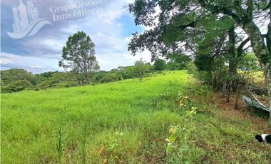 VENDO FINCA DE 2HECTAREAS + 2040M2 ALTO JARAMILLO