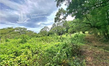 VENDO FINCA DE 2HECTAREAS + 2040M2 ALTO JARAMILLO