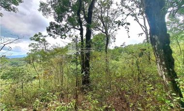 VENDO FINCA DE 2HECTAREAS + 2040M2 ALTO JARAMILLO