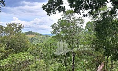 VENDO FINCA DE 2HECTAREAS + 2040M2 ALTO JARAMILLO