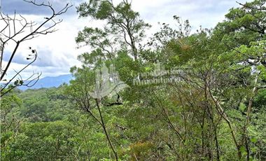 VENDO FINCA DE 2HECTAREAS + 2040M2 ALTO JARAMILLO