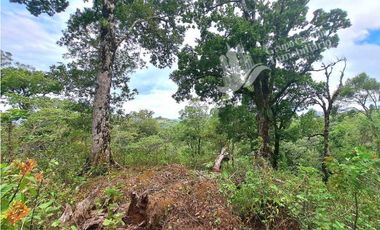 VENDO FINCA DE 2HECTAREAS + 2040M2 ALTO JARAMILLO