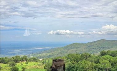 VENDO FINCA DE 2HECTAREAS + 2040M2 ALTO JARAMILLO