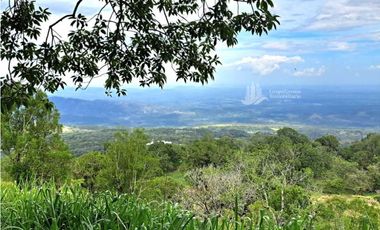VENDO FINCA DE 2HECTAREAS + 2040M2 ALTO JARAMILLO