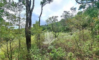 VENDO FINCA DE 2HECTAREAS + 2040M2 ALTO JARAMILLO