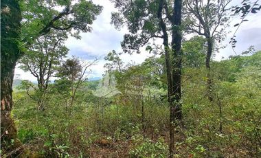 VENDO FINCA DE 2HECTAREAS + 2040M2 ALTO JARAMILLO