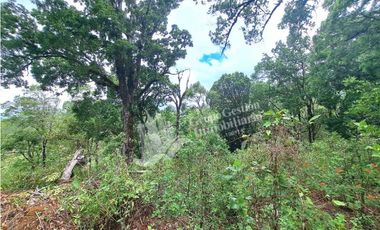 VENDO FINCA DE 2HECTAREAS + 2040M2 ALTO JARAMILLO