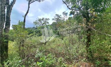 VENDO FINCA DE 2HECTAREAS + 2040M2 ALTO JARAMILLO