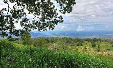VENDO FINCA DE 2HECTAREAS + 2040M2 ALTO JARAMILLO