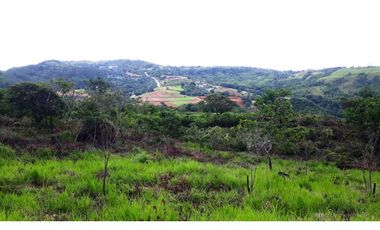 Se VENDEN 4 Lotes de Terrenos en San Carlos, La Laguna