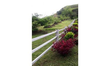 Se VENDEN 4 Lotes de Terrenos en San Carlos, La Laguna