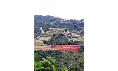 Se VENDEN 4 Lotes de Terrenos en San Carlos, La Laguna