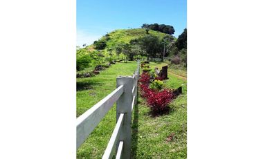 Se VENDEN 4 Lotes de Terrenos en San Carlos, La Laguna