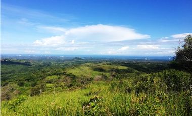 Se VENDEN 4 Lotes de Terrenos en San Carlos, La Laguna
