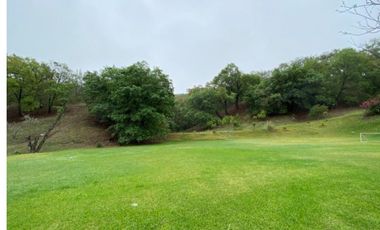 Quinta El Alamo