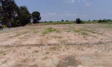 Land for sale in Nong Ratchawat, Suphan Buri