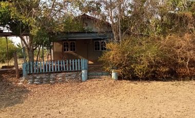 Land for sale in Sap Yai, Chaiyaphum