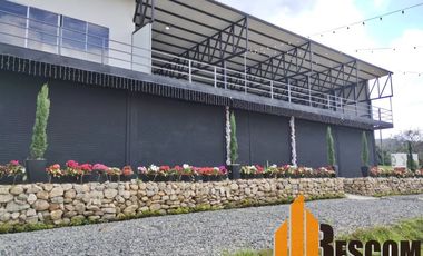 Local en Arriendo Ubicado en El Peñol Codigo 1196