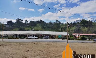 Local en Arriendo Ubicado en El Peñol Codigo 1196