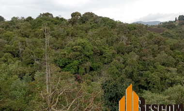 Terreno en Venta Ubicado en MARINILLA Codigo 758