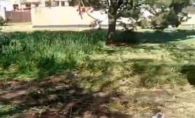 Terreno / Lote en venta de 333m2 ubicado en Los Pinares